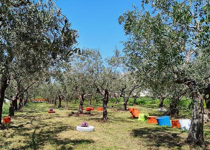 Colline del sole